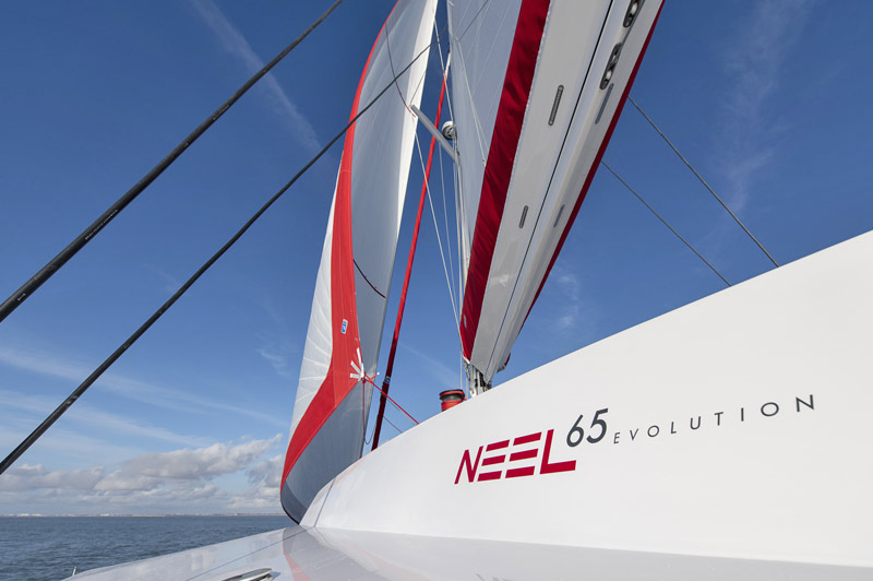  neel 65 evolution